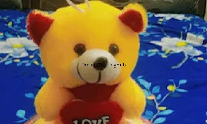 Ashwani gift packaging